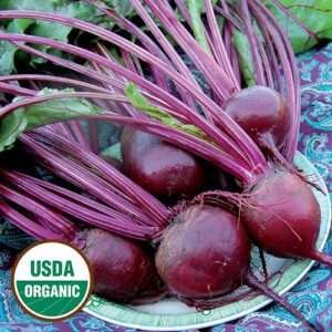 Beet Detroit Dark Red - Vibrant Organic Beets from Hawaii by hvo.earth